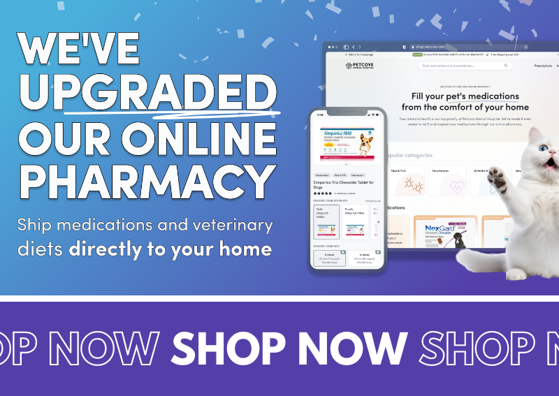 Carousel Slide 1: We've updated our online pharmacy!