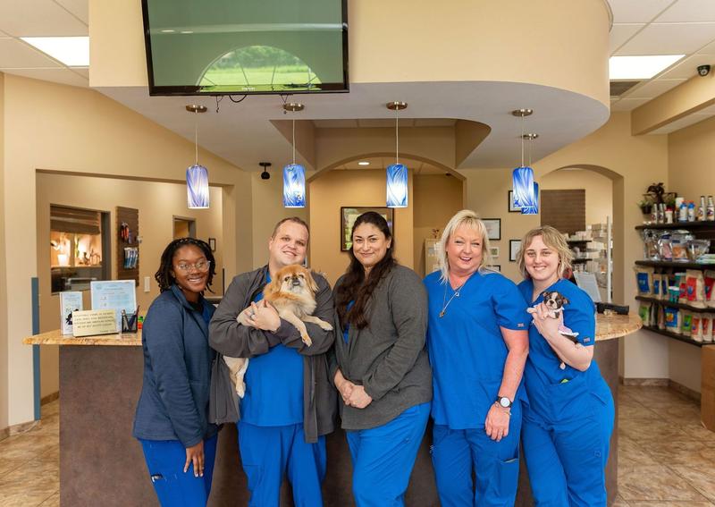 Carousel Slide 5: View our experienced team here at Valrico Animal Clinic!